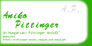aniko pittinger business card
